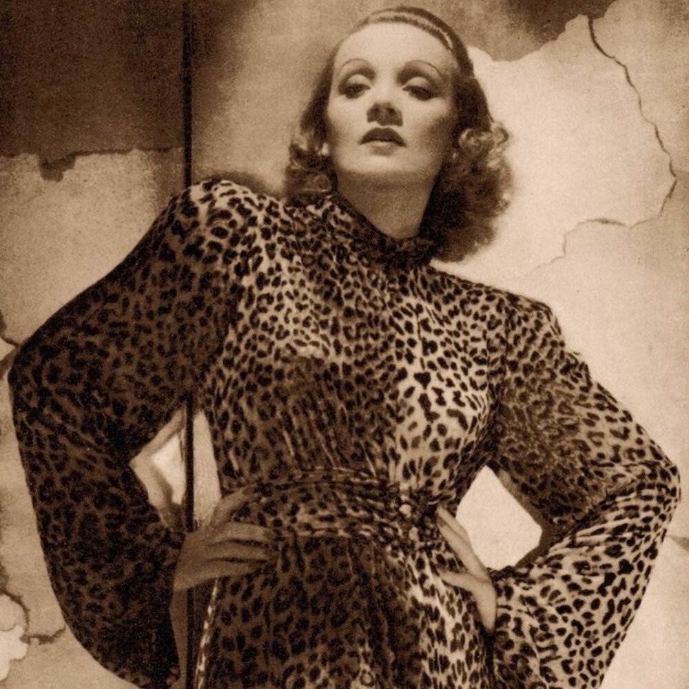 H&M Vintage Style Leopard Blouse Women's Size 8